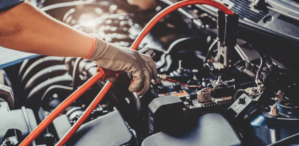 プロフェッショナルが選ぶ確かな商品力